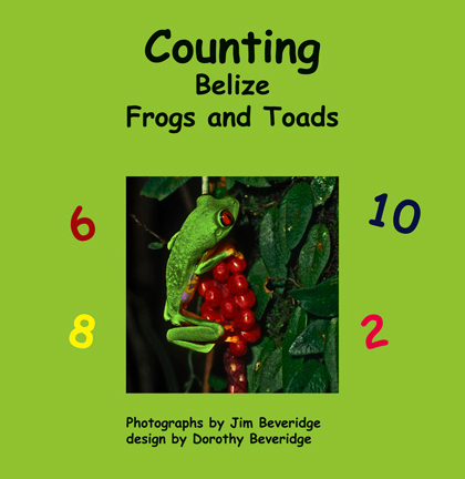 Counting Frogs