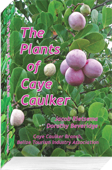 The Plants of Caye Caulker